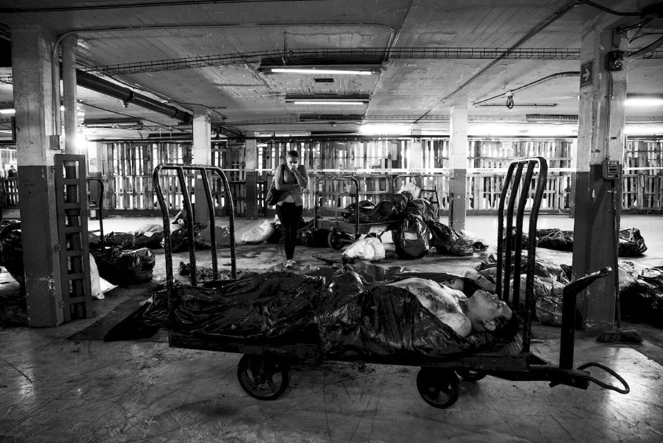 Arillo de hombre muerto : Foto