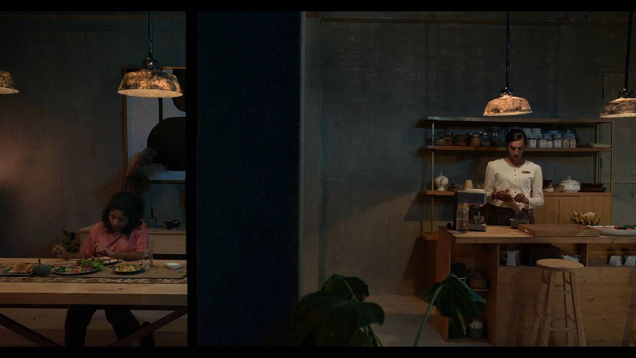 Turtle’s Gaze on Spying Stars : Foto