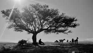 Los amantes se despiden con la mirada : Foto