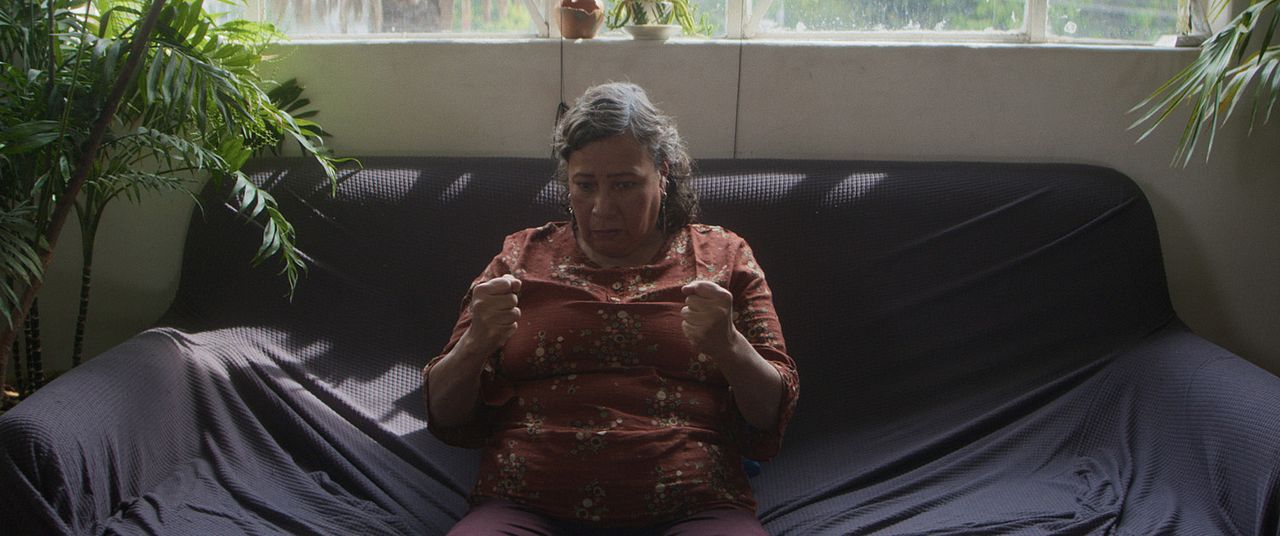 Lo demás es ruido : Foto