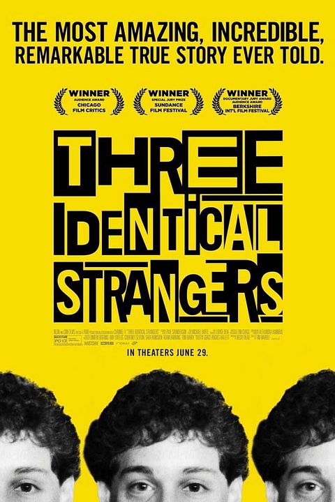 Three Identical Strangers : Póster