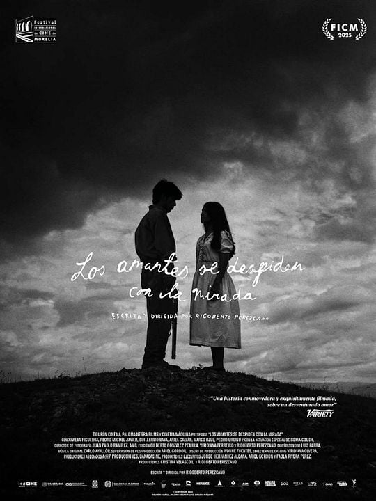 Los amantes se despiden con la mirada : Póster