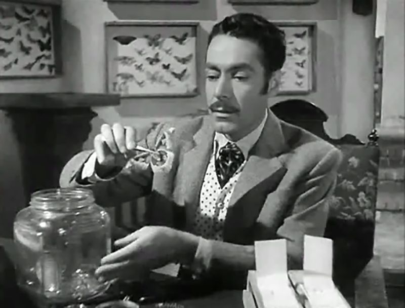 Abismos de pasion : Foto