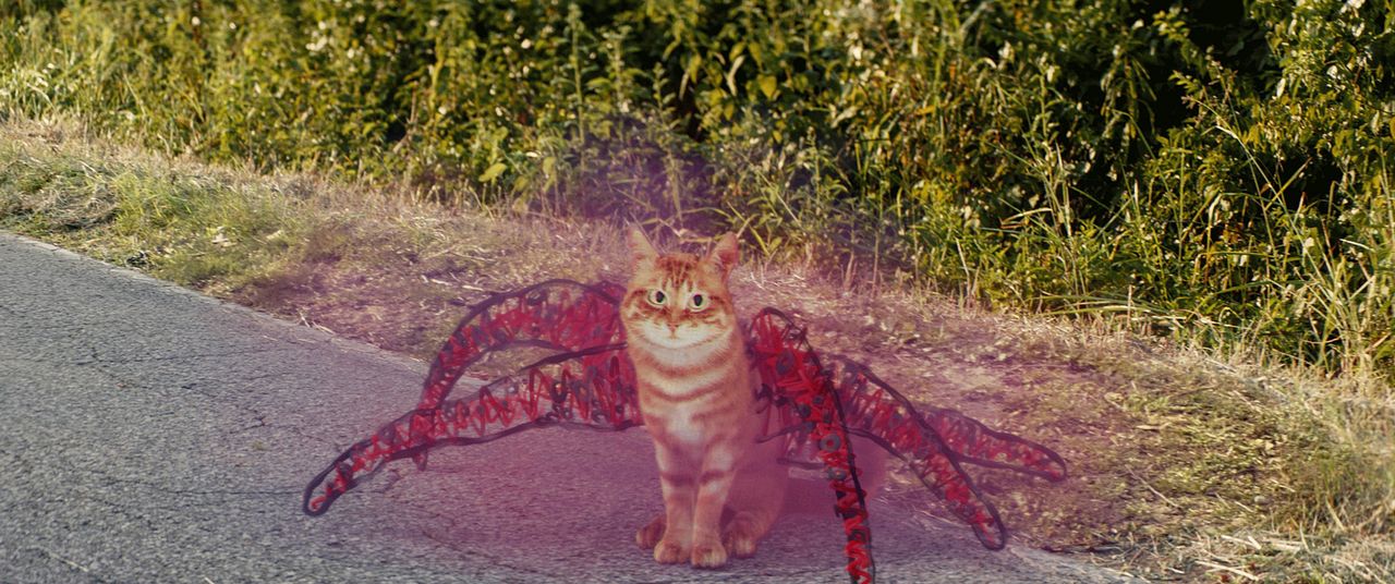 Dibujos Imaginarios : Foto