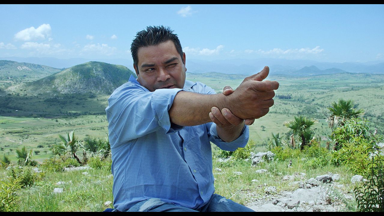 El tiempo de las luciérnagas : Foto