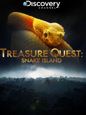 En busca del tesoro: Isla serpientes : Póster