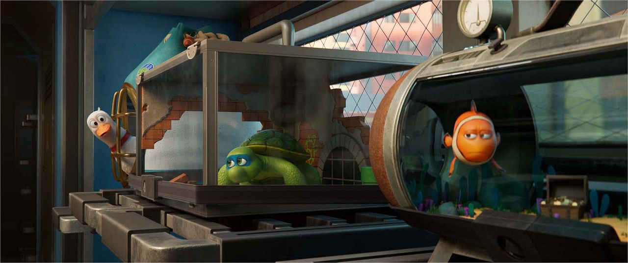 Mascotas al rescate : Foto