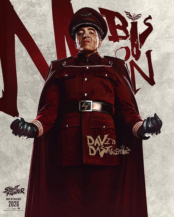 Street Fighter : Póster