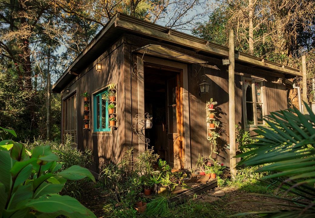 El último gigante : Foto