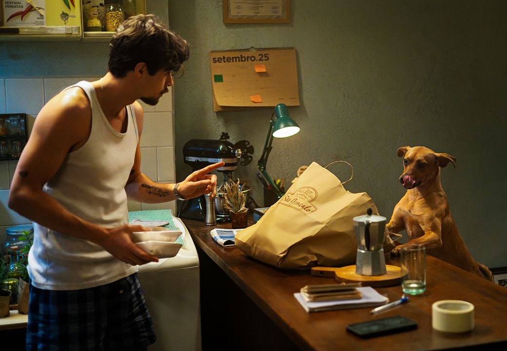 Caramelo : Foto Rafael Vitti