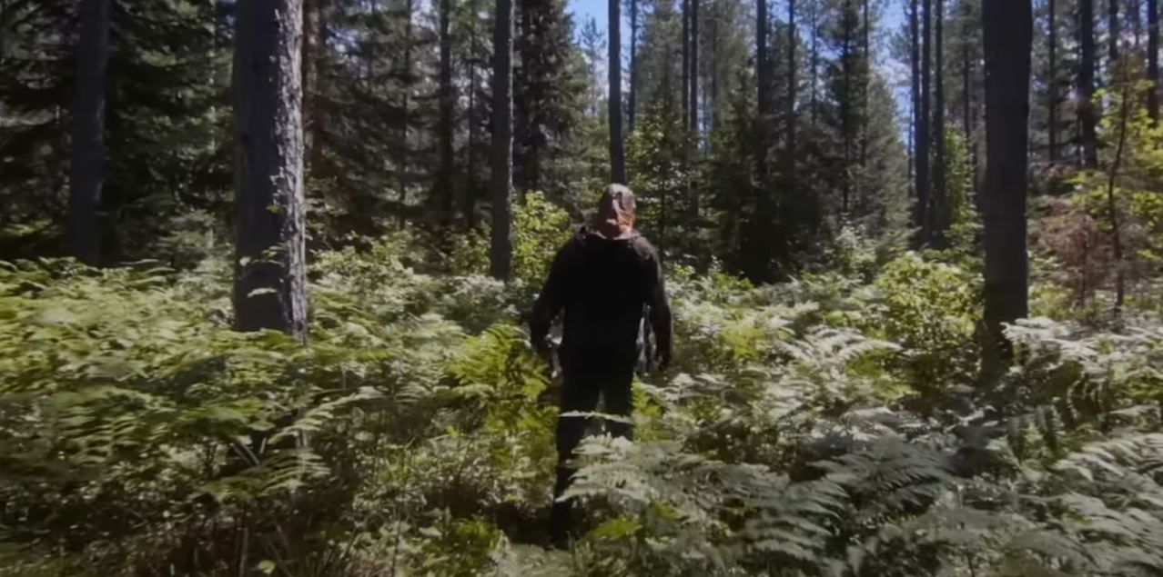 De Naturaleza Violenta : Foto