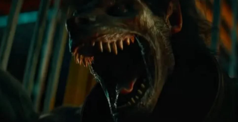 La noche de los hombres lobo : Foto