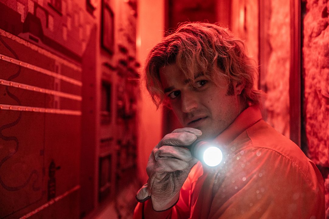 Alerta extinción : Foto Joe Keery