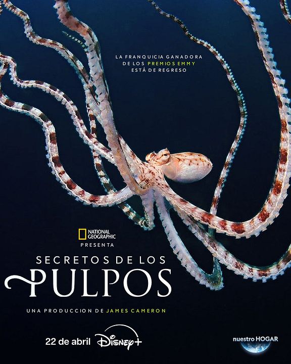 Secretos de los pulpos : Póster