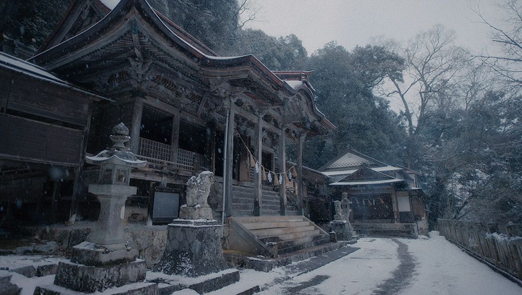 The Forest of Shinaburi : Foto