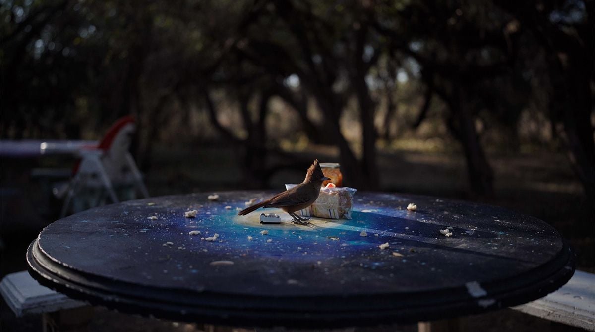 Los incrédulos : Foto