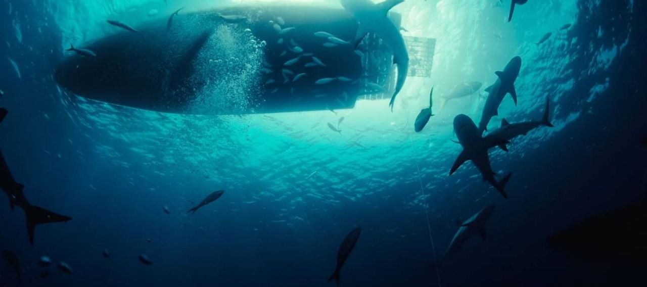  Animales peligrosos : Foto