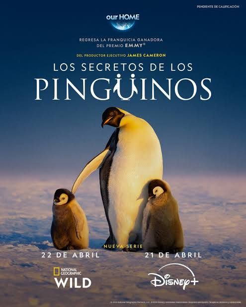 Los Secretos de Los Pingüinos : Póster