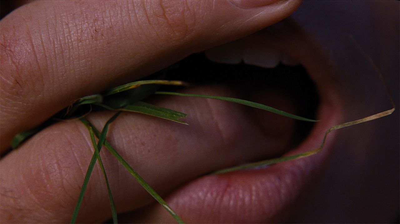 Cumbres Borrascosas : Foto