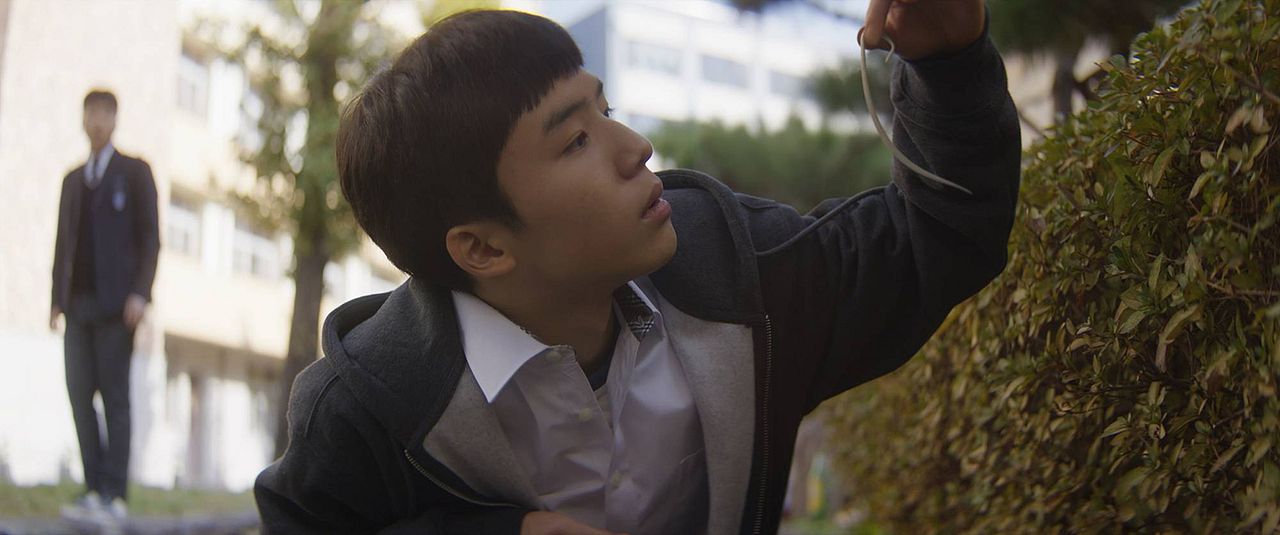 The Accordion Door : Foto