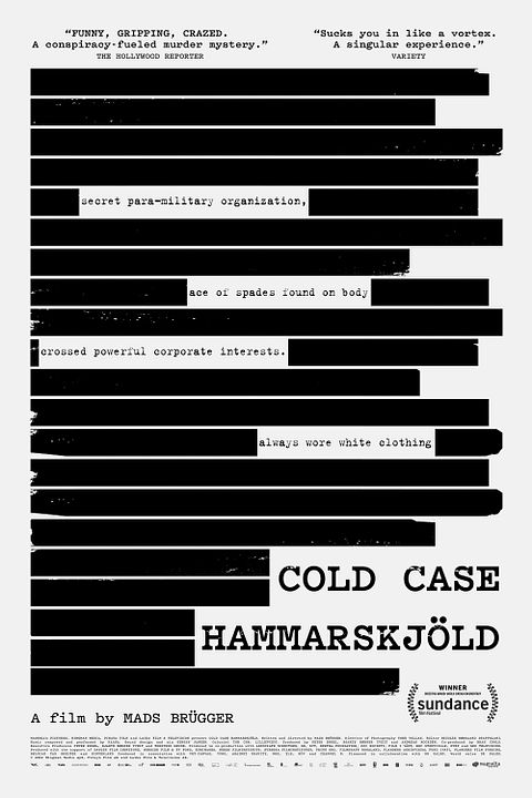 Cold Case Hammarskjold : Póster