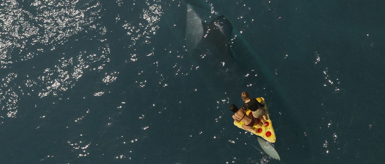 Ballena Asesina : Foto