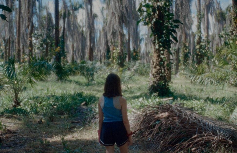 Si no ardemos, cómo iluminar la noche : Foto