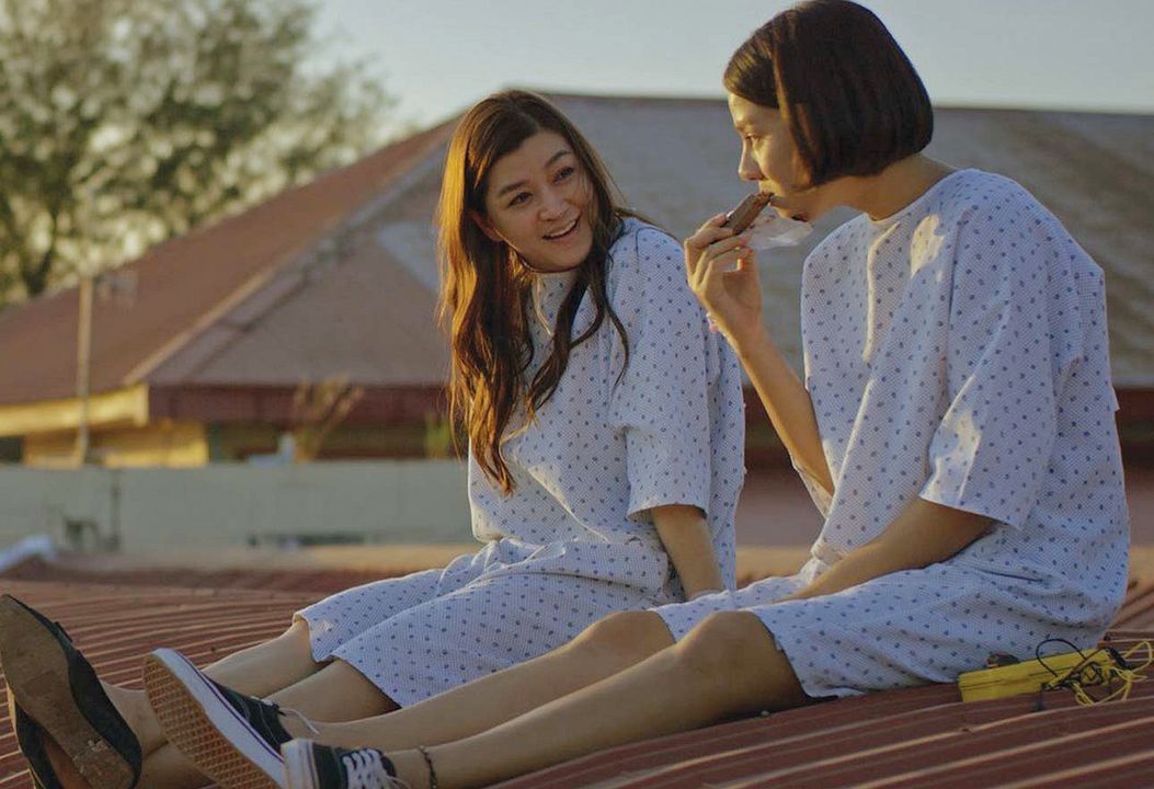 What Happened to the Wolf? : Foto