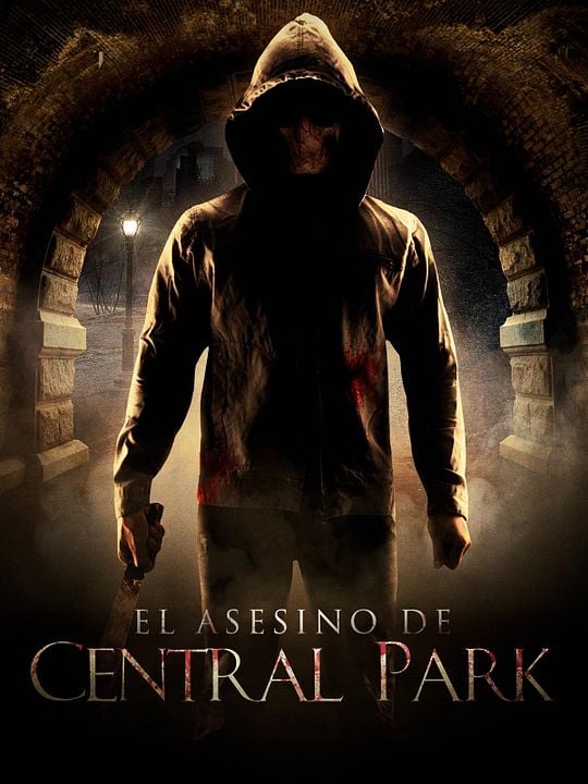 El Asesino de Central Park : Póster