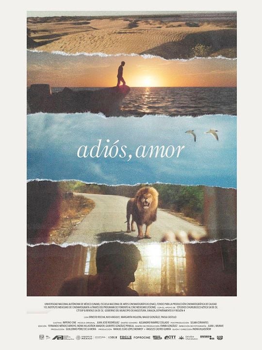 Adiós, amor : Póster