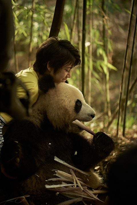 Moon, Mi Amigo El Panda : Foto Moon the Panda