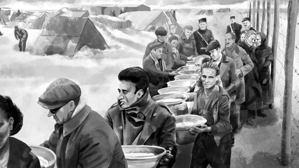 Flores bajo el hielo : Foto