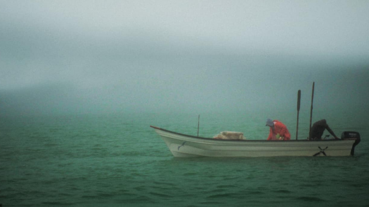 El llanto de las tortugas : Foto