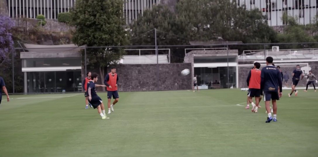 Puma desde la cuna : Foto