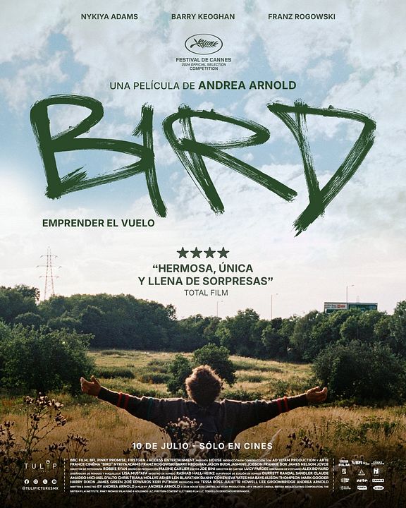 BIRD: Emprender el vuelo : Póster