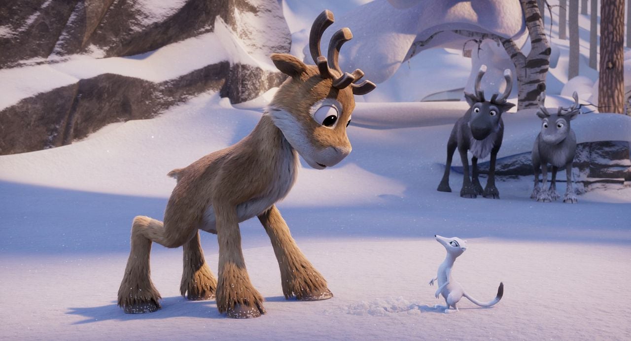 Niko: La aventura de las narices frías : Foto