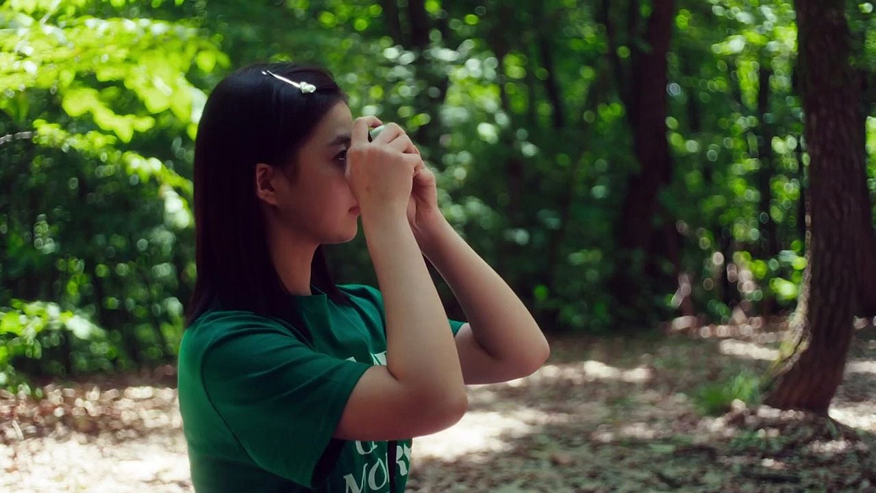 Summer’s Camera : Foto