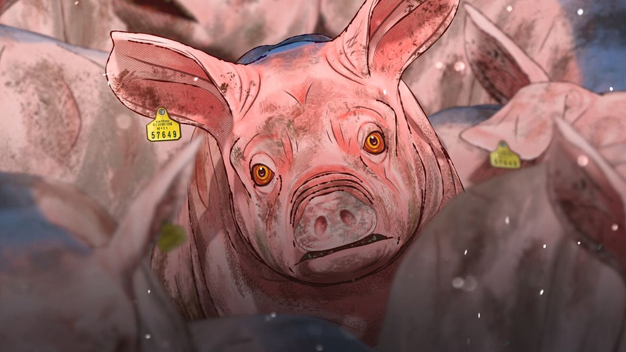 Gujeyeog-eseo sal-a dol-aon dwaeji : Foto