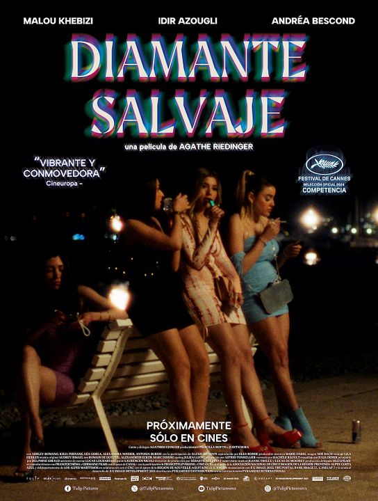 Diamante Salvaje : Póster