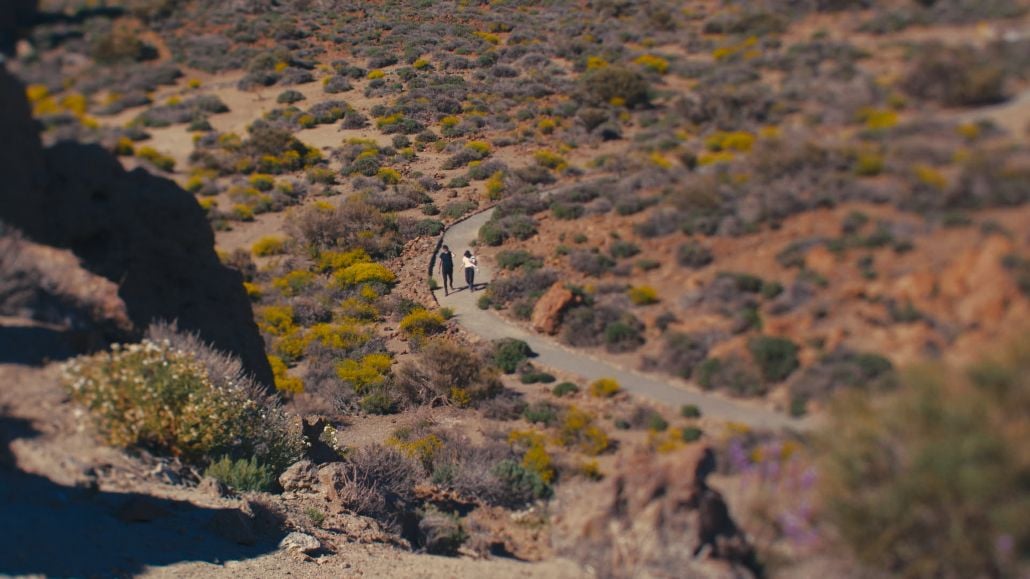 Ahora la luz cae vertical : Foto