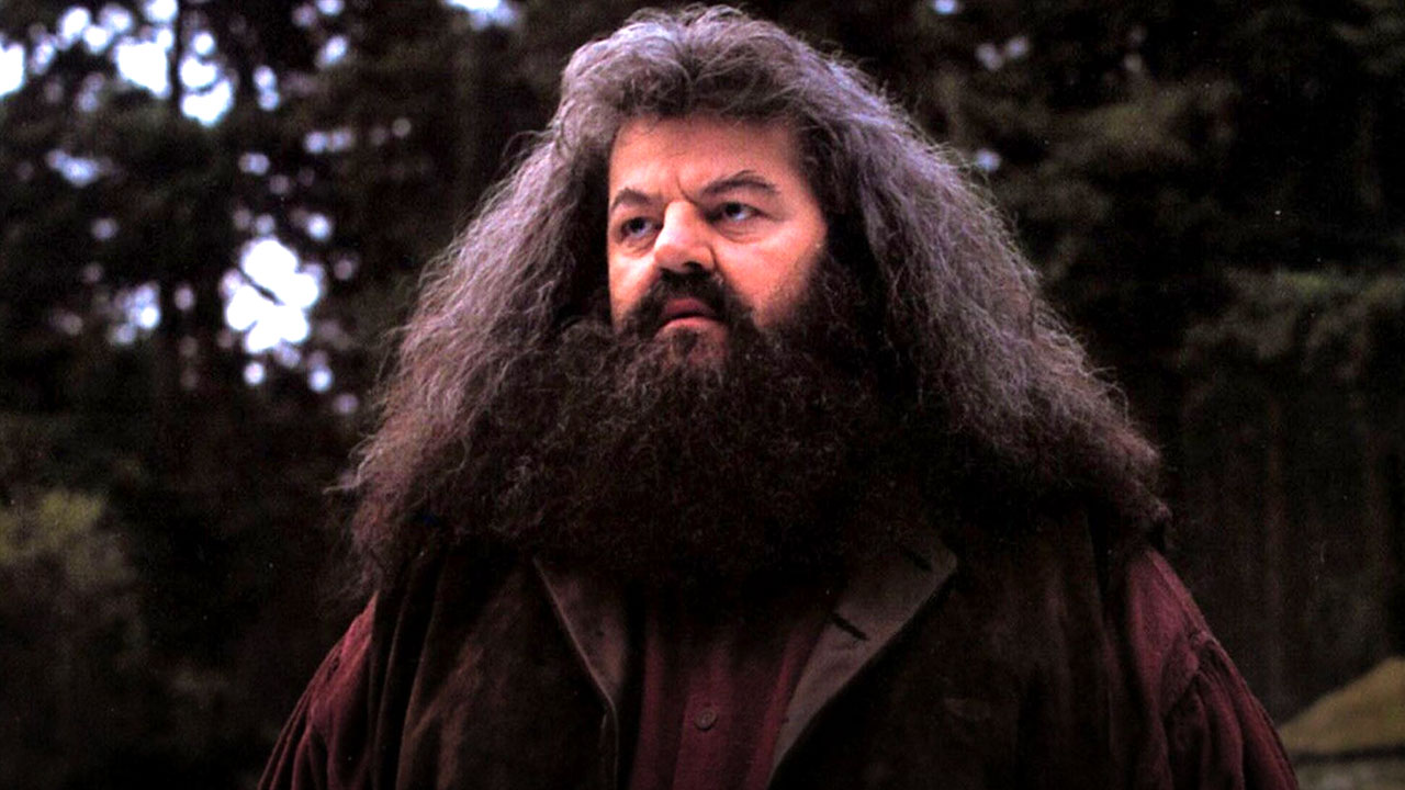 10 imágenes que demuestran que Hagrid fue un padre para Harry Potter -  