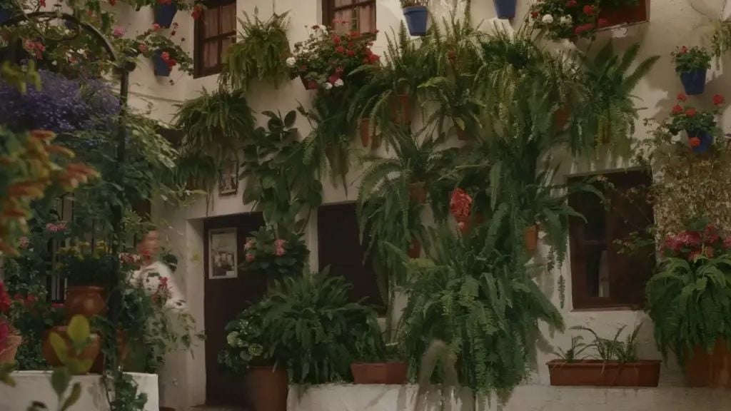 Ojalá me lo hubieras dicho : Foto