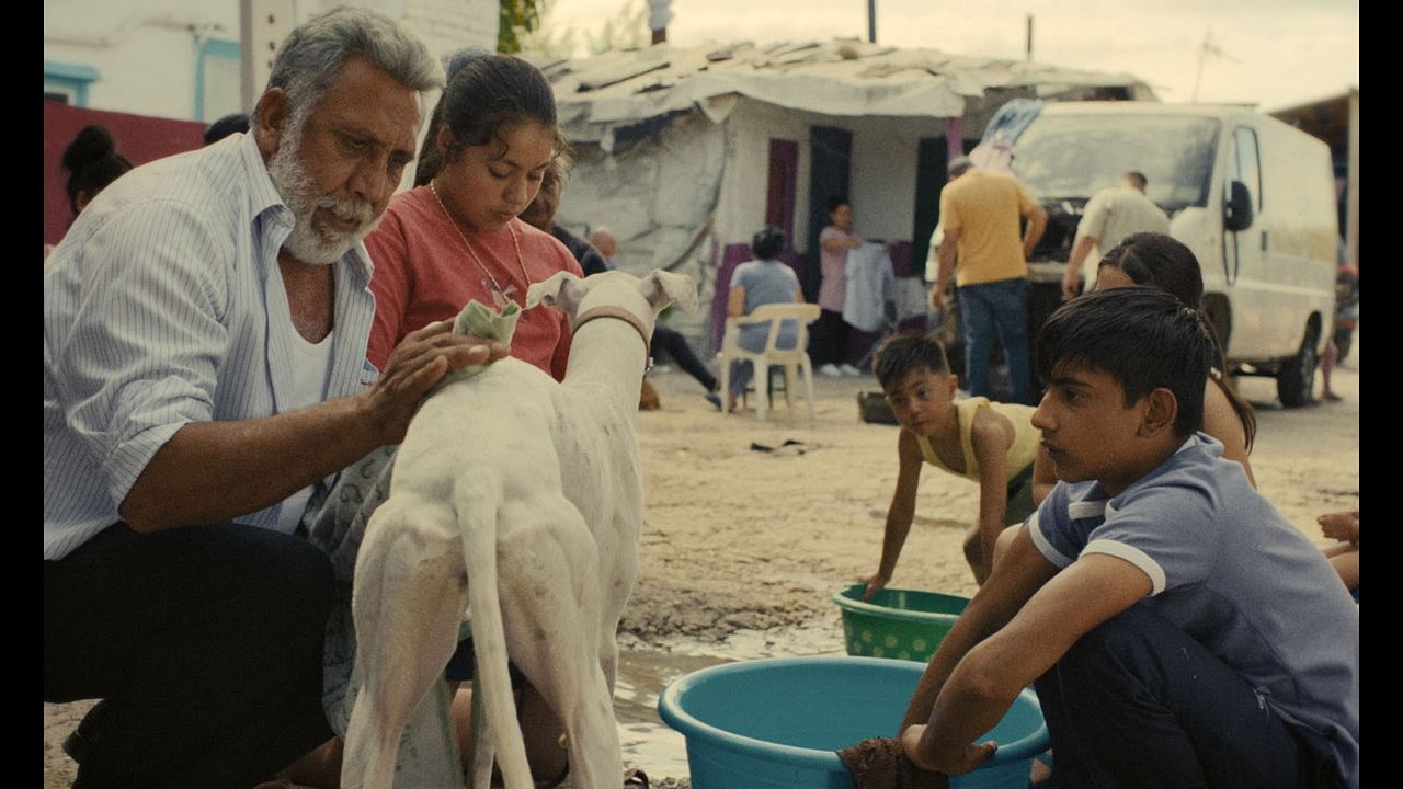 Ciudad sin sueño : Foto Antonio Fernández Gabarre