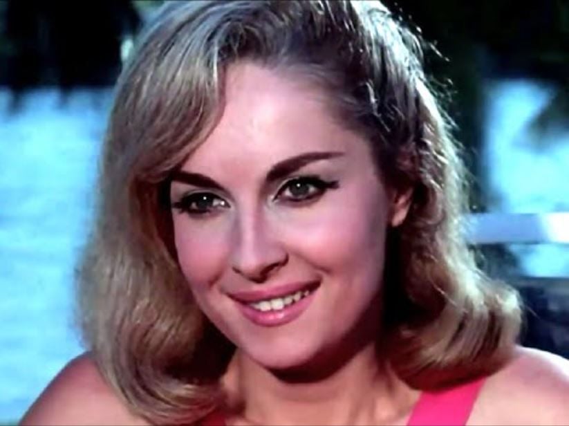 Muchacho : Foto Irán Eory