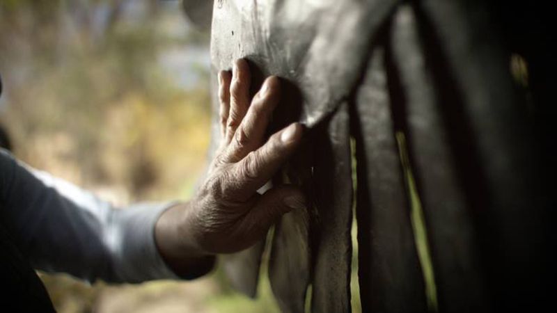 Dream Touch Believe : Foto