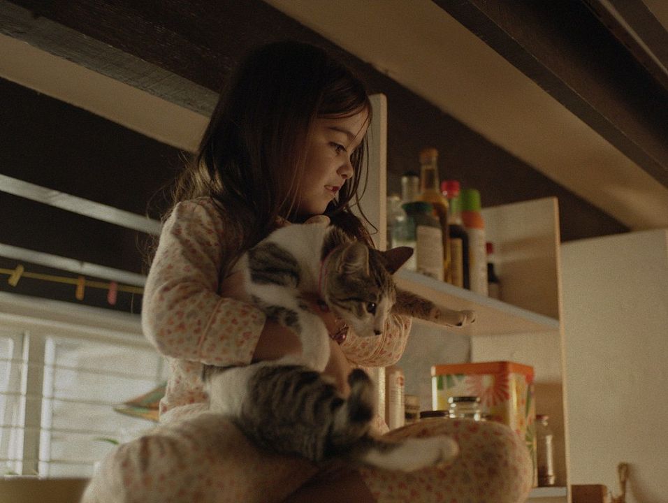 Tótem : Foto Saori Gurza