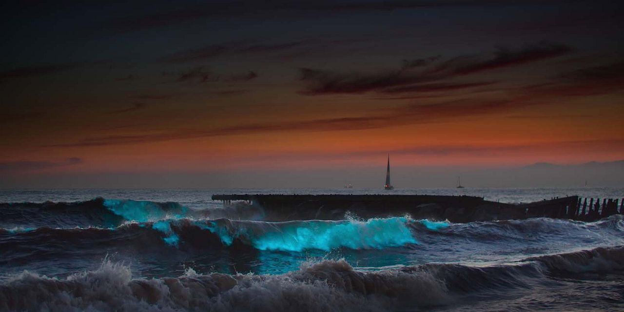 Nuestros océanos : Foto