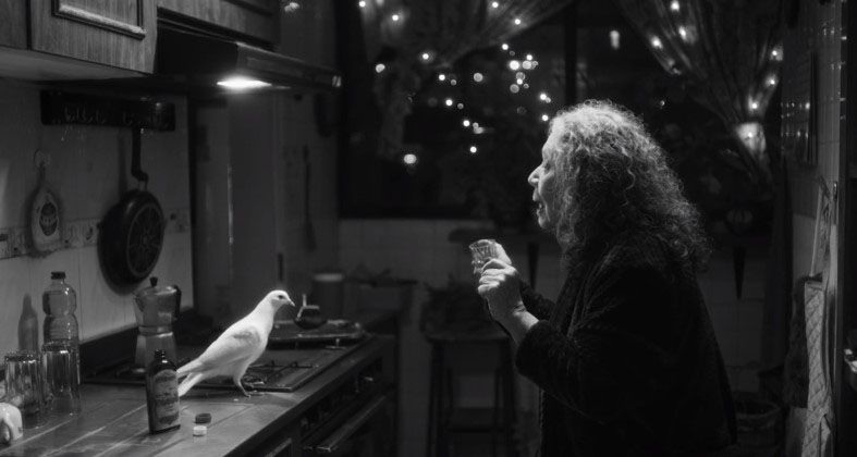 No nos moverán : Foto