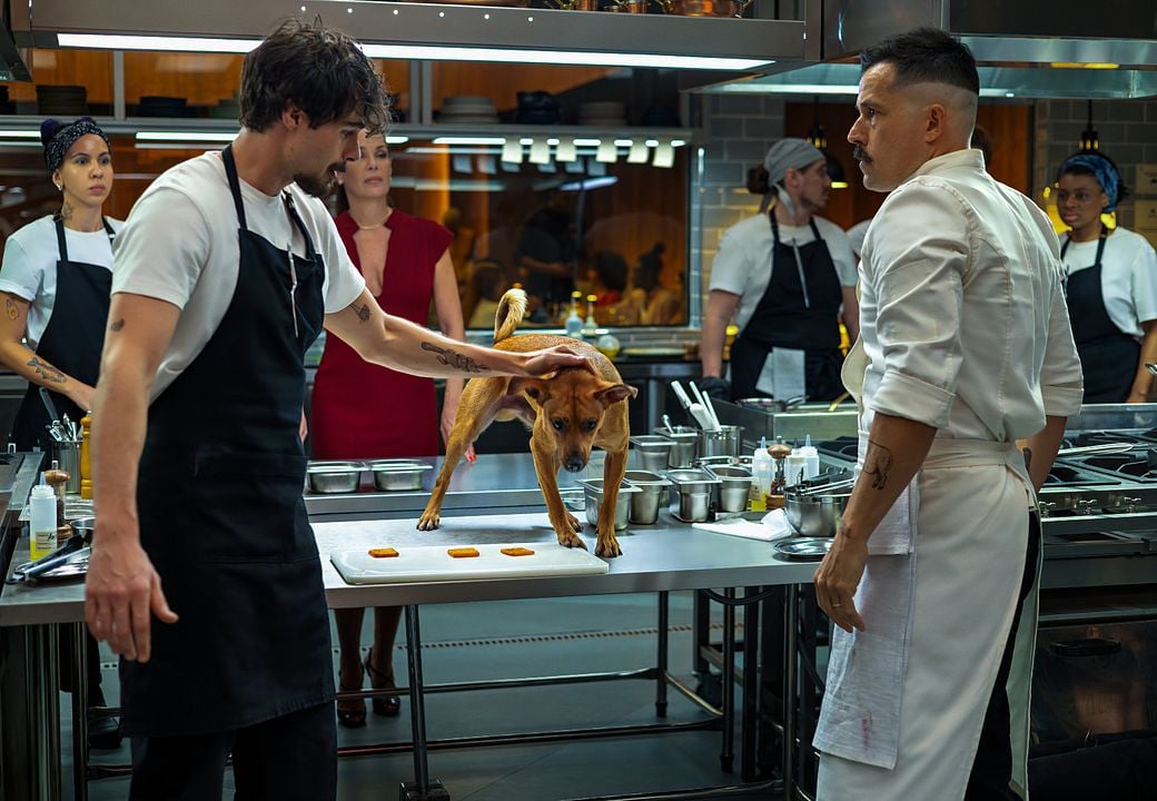 Caramelo : Foto Rafael Vitti