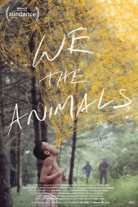 We The Animals : Póster